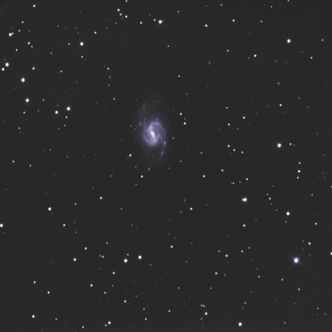 NGC3359