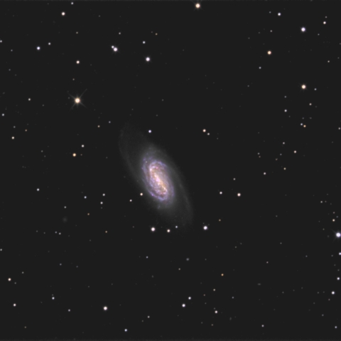 NGC2903