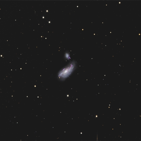 NGC4490