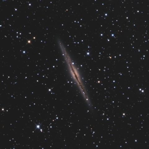 NGC891