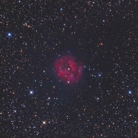 IC5146　まゆ星雲