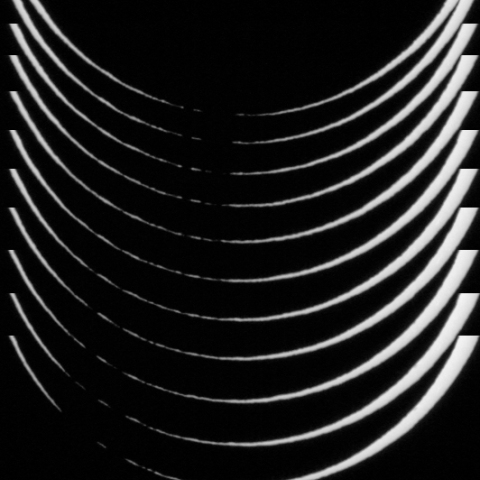 ベイリービーズの変化