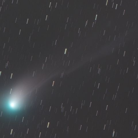 1月22日のZTF彗星