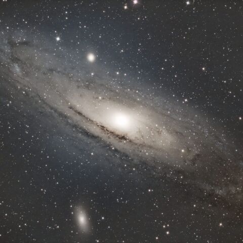 M31