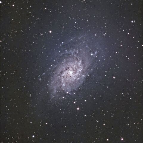 M33