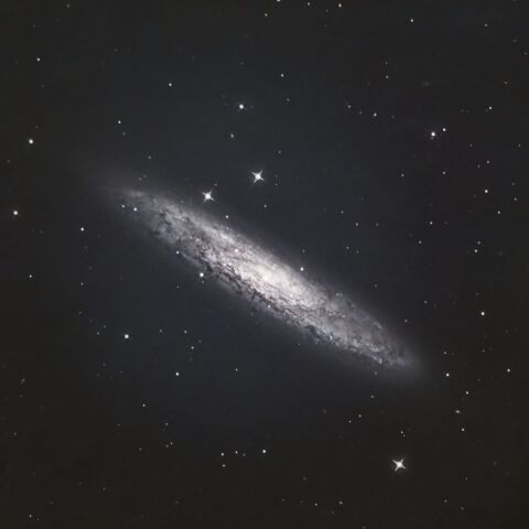 NGC253