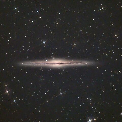 NGC891