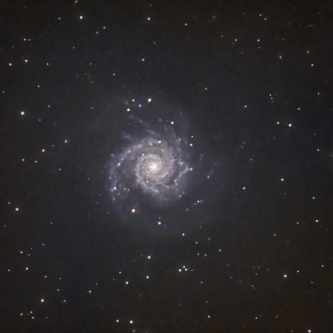 M74