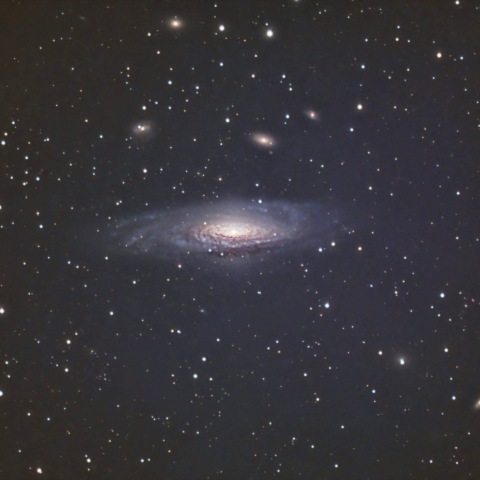 NGC7331