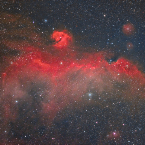 カモメ星雲 (IC2177)