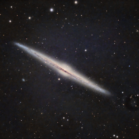 NGC4565