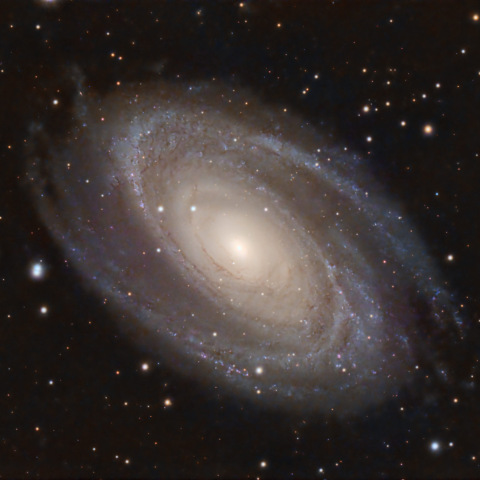 M81