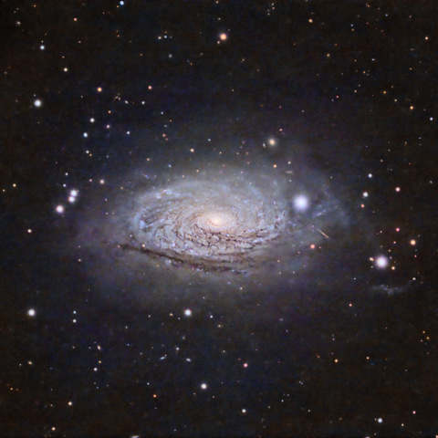 M63 ひまわり銀河