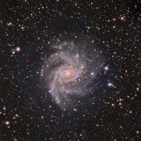 NGC6946 (花火銀河)