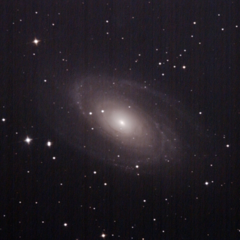 M 81