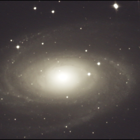M81