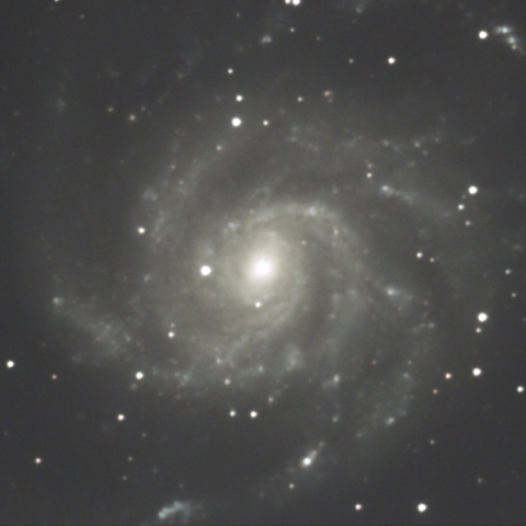 M101