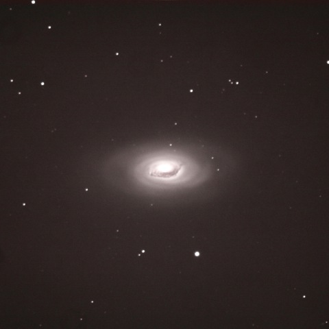 M64