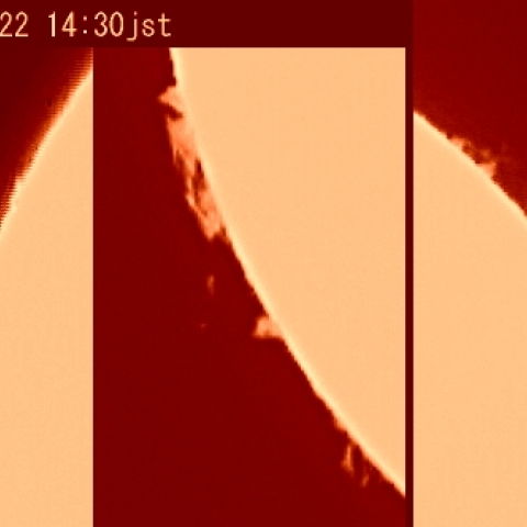 色々なプロミネンス