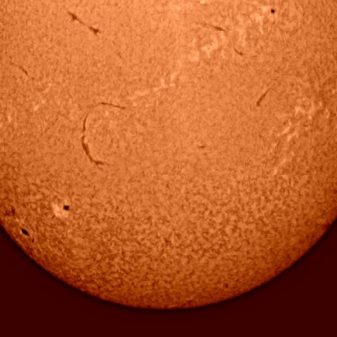 太陽面（Hα線）