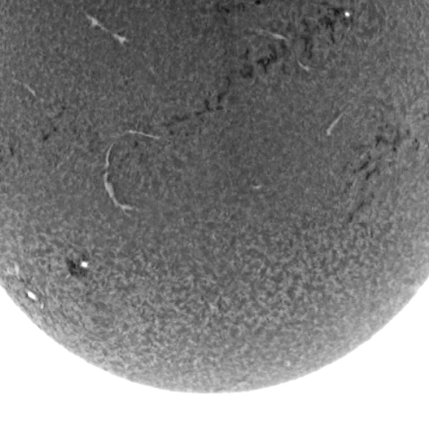 太陽の活動（白黒反転）