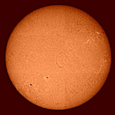 今日の太陽表面（Ｈα）