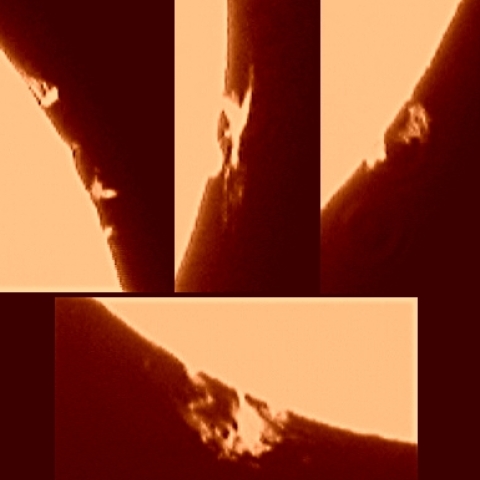 プロミネンス（２）