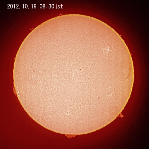 太陽（10月19日）