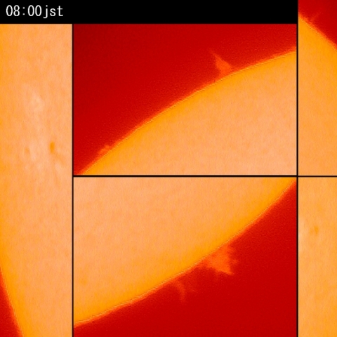 プロミネンス11月29日