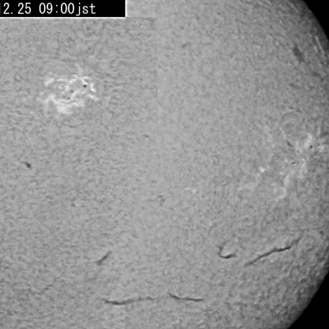 太陽12月25日（Ｈα線）