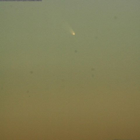 パンスターズ彗星