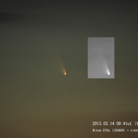 Comet Panstarrs