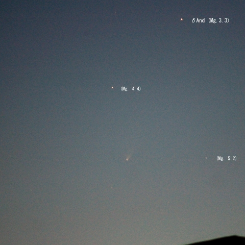Comet Panstarrs