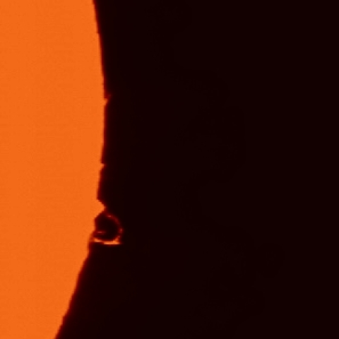 ループプロミネンス