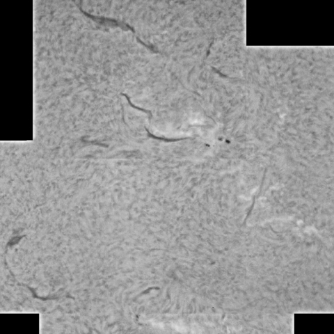 ダークフィラメント、5月26日