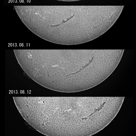 ダークフィラメントの変化（8日間）