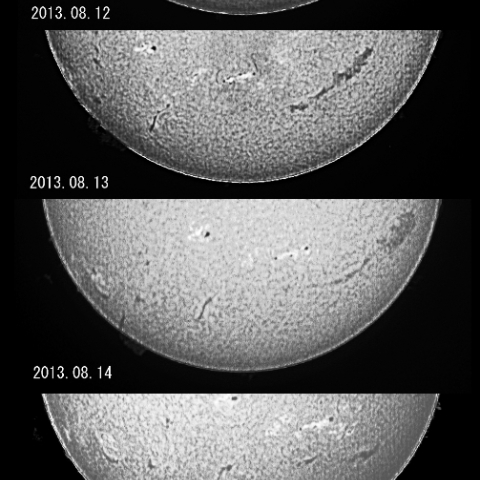 ダークフィラメントからプロミネンスへ