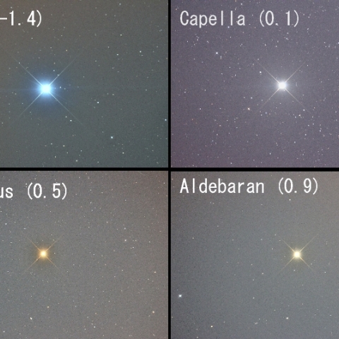 冬の一等星たち