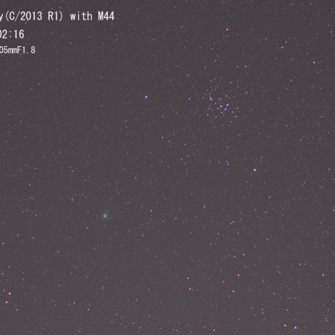 ラブジョイ彗星とM44 