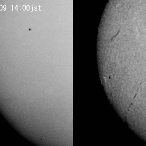 黒点とダークフィラメント