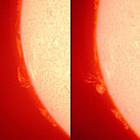 プロミネンスの変化、1月17日