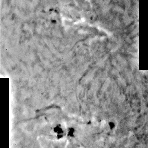 黒点群AR1967-AR1968