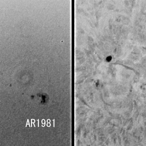 太陽黒点AR1982