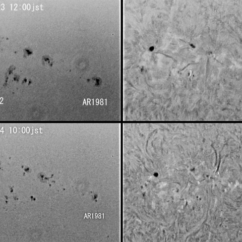 黒点群AR1981-AR1982