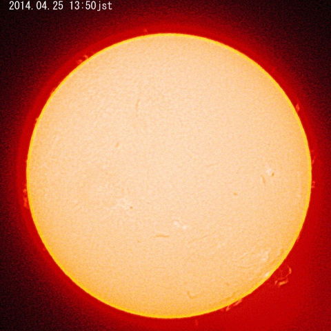 ループプロミネンス