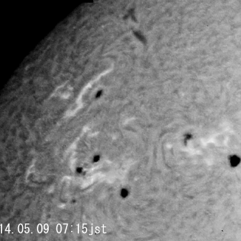 黒点群（Hα線）