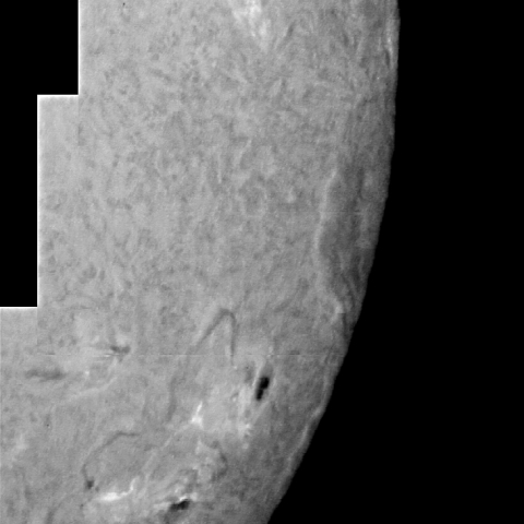 太陽黒点周辺Hα像