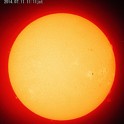 久しぶりの太陽