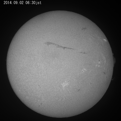 太陽・ダークフィラメント