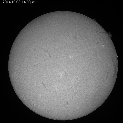 ダークフィラメントとプロミネンス